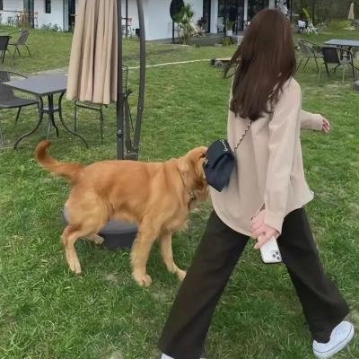 少年泰坦出击第七季