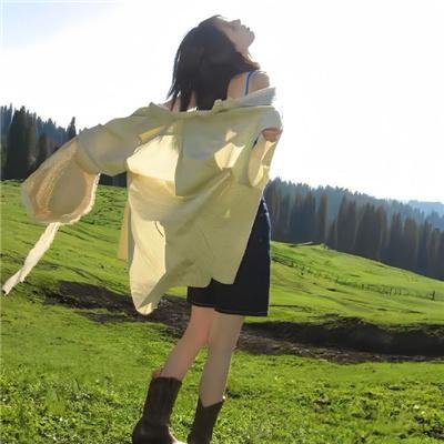 维京人埃里克